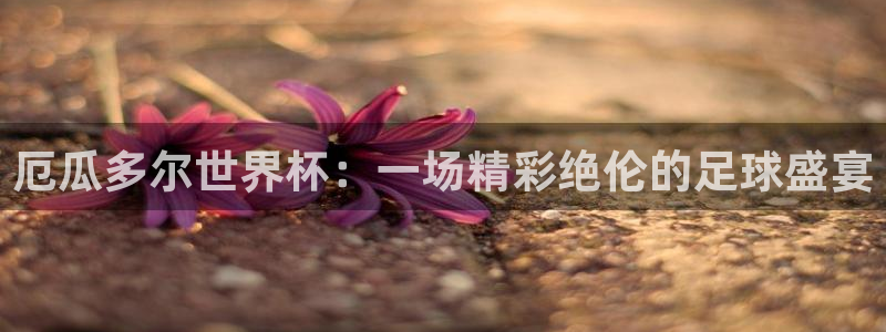 2026世界杯赛程：厄瓜多尔世界杯：一场精彩绝伦的足球盛宴