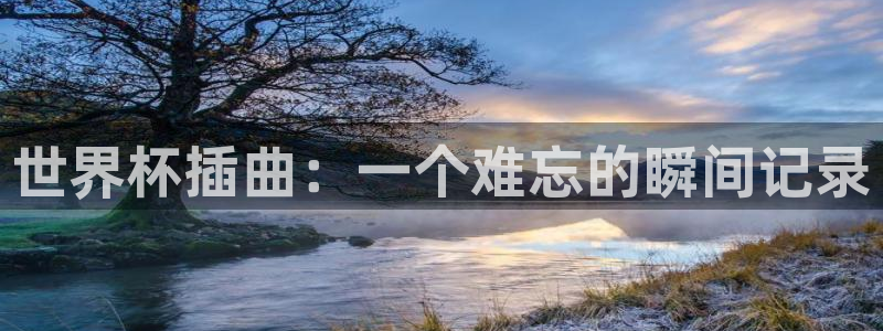 世界杯对阵表：世界杯插曲：一个难忘的瞬间记录