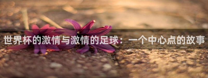 世界杯 中国：世界杯的激情与激情的足球：一个中心点的故事