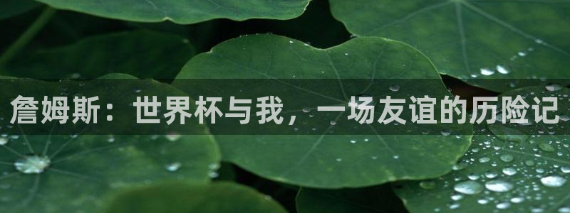2026世界杯德国队阵容：詹姆斯：世界杯与我，一场友谊的历险记