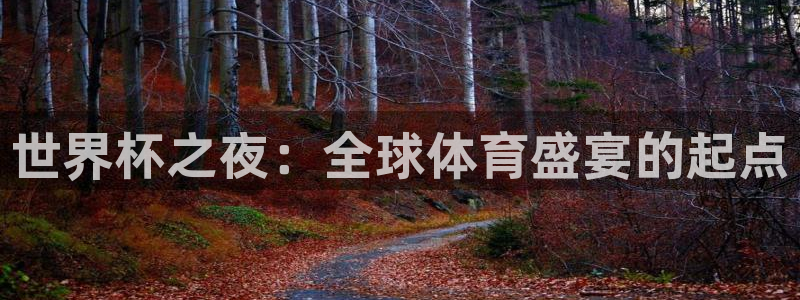 世界杯在线直播：世界杯之夜：全球体育盛宴的起点