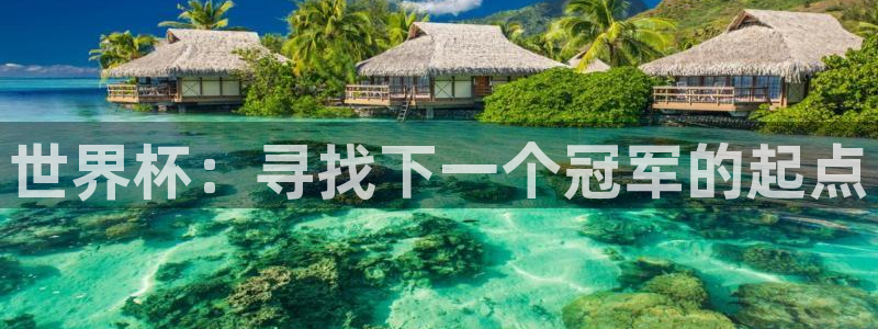 足球世界杯2026年赛程时间表：世界杯：寻找下一个冠军的起点