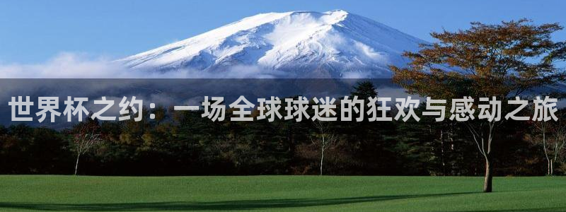 足球世界杯2026：世界杯之约：一场全球球迷的狂欢与感动之旅