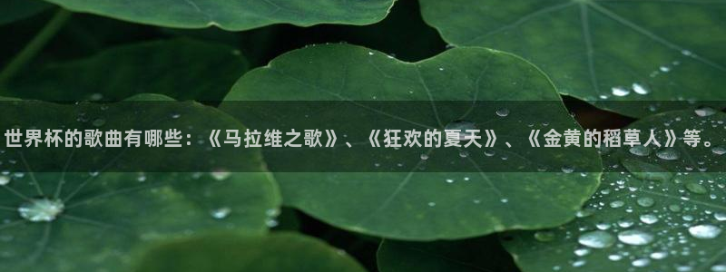 世界杯官网入口：世界杯的歌曲有哪些：《马拉维之歌》、《狂欢的夏天》、《金黄的稻草人》等。