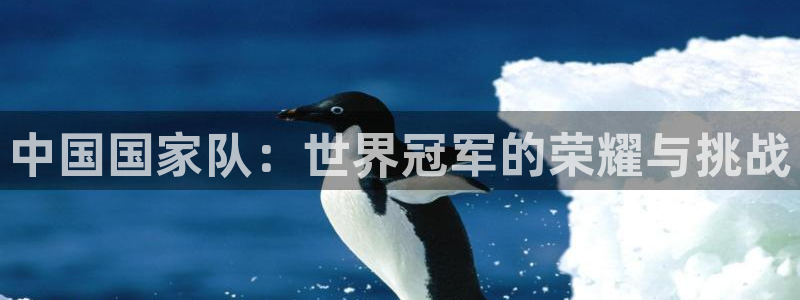 世界杯第一场比赛：中国国家队：世界冠军的荣耀与挑战