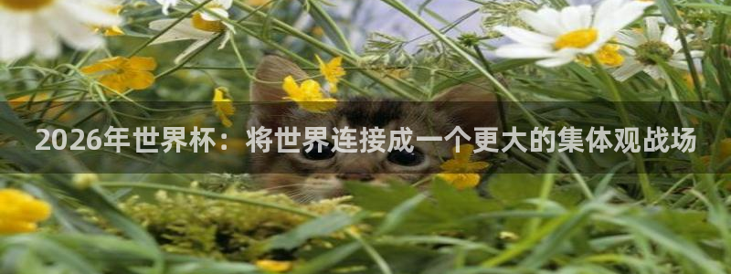 2026世界杯欧洲预选赛赛程表：2026年世界杯：将世界连接成一个更大的集体观战场