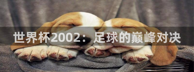 世界杯女足直播：世界杯2002：足球的巅峰对决