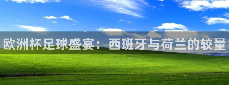 世界杯直播免费观看：欧洲杯足球盛宴：西班牙与荷兰的较量